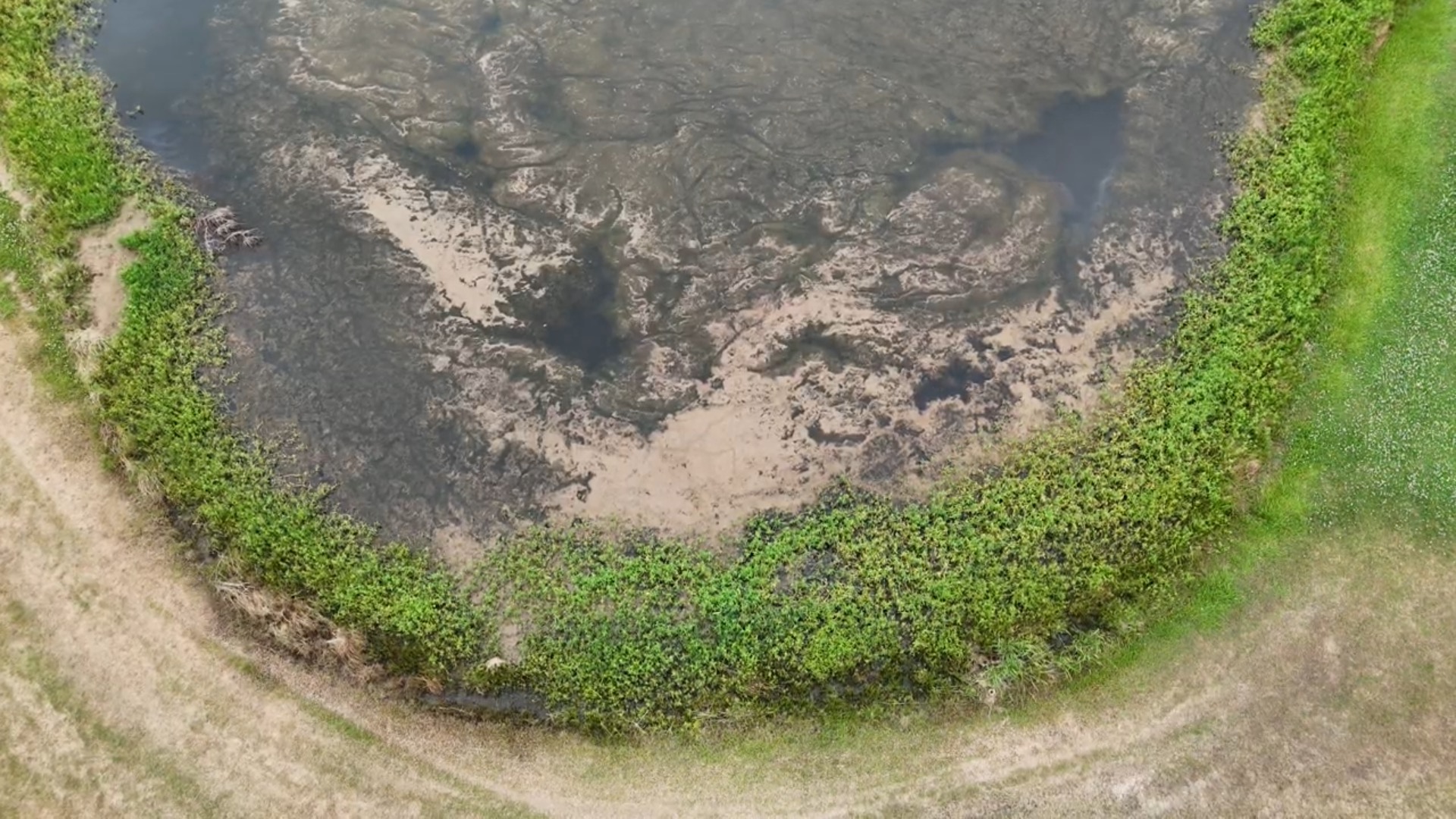 Pond Doctor project